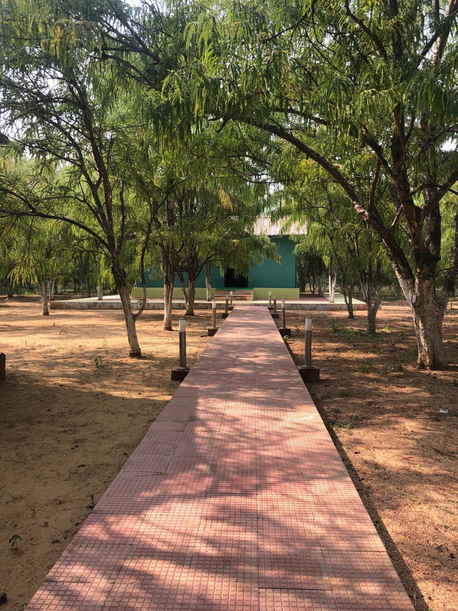 Tehla Matoshree Green Stay Sariska מראה חיצוני תמונה