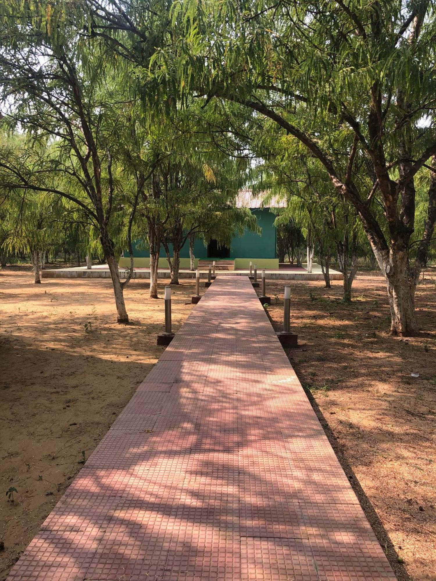 Tehla Matoshree Green Stay Sariska מראה חיצוני תמונה